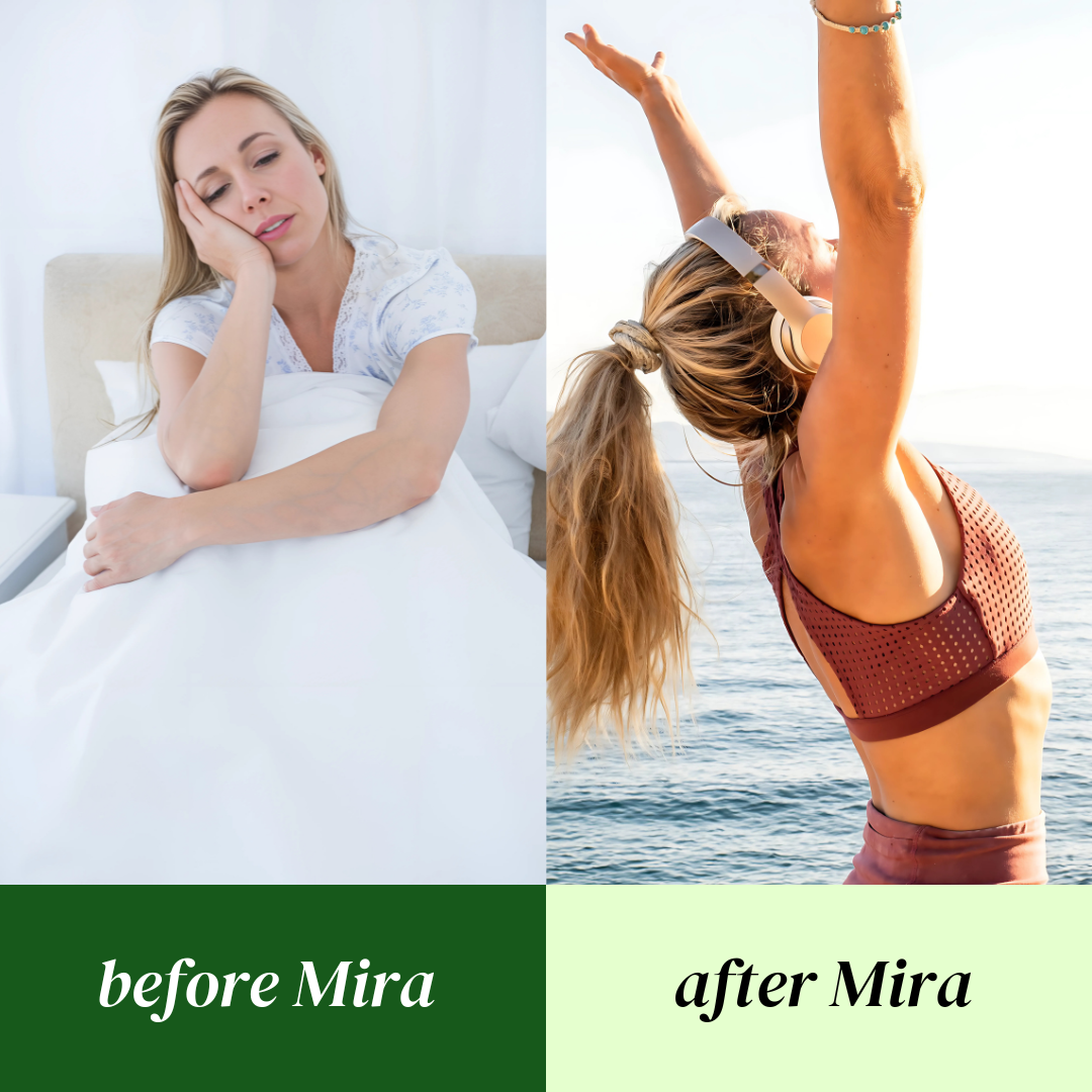 Bio Reset - Metabolism and Cravings Control